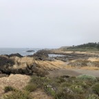 IMG_9920.jpeg