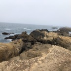 IMG_9921.jpeg
