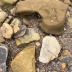 IMG_9922.jpeg