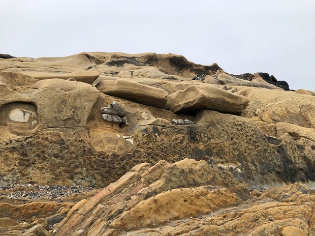 Look at those rocks embedded in the sandstone