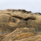 IMG_9924.jpeg