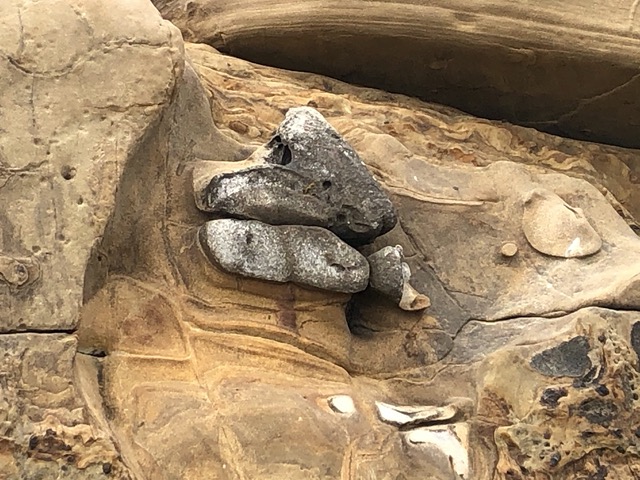 Close up of the embedded rock and amazing shapes carved in the sandstone