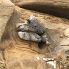 IMG_9925.jpeg