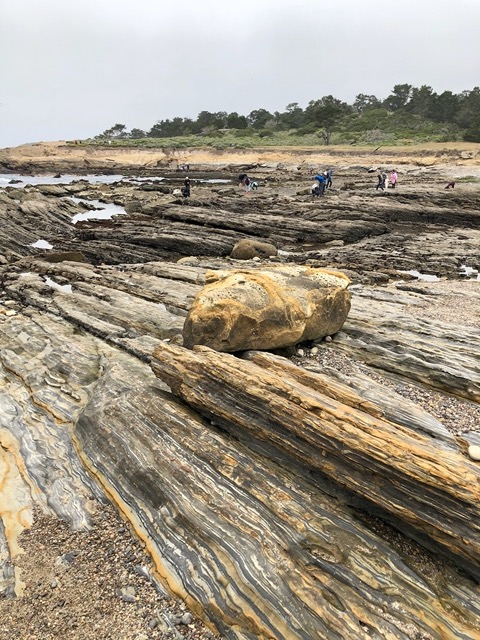 Leading to the tide pools