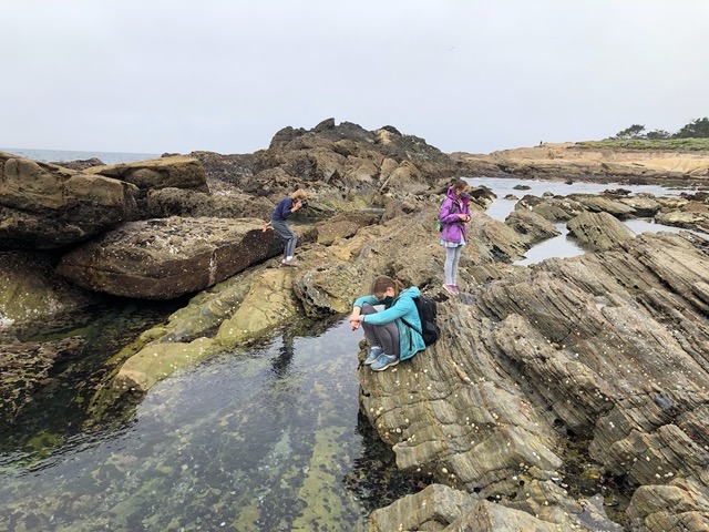 The kids checking out the tide pools