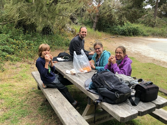 Family picnic: sandwiches on homemade sourdough