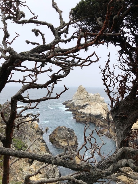 I love the views from this hike