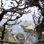 IMG_9936.jpeg