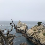 IMG_9938.jpeg