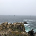 IMG_9947.jpeg