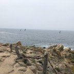 IMG_9948.jpeg