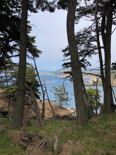 View of Carmel through the trees