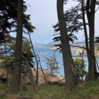IMG_9949.jpeg