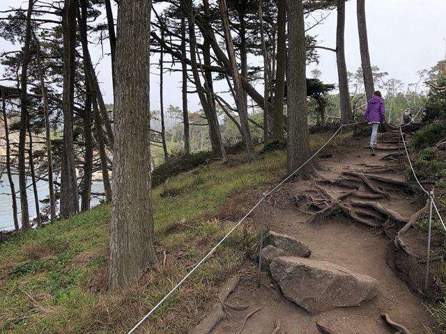 I love the roots on this trail