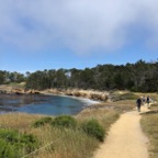 IMG_9952.jpeg