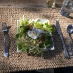 IMG_9980.jpeg