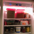 IMG_9981.jpeg
