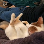 IMG_9990.jpeg