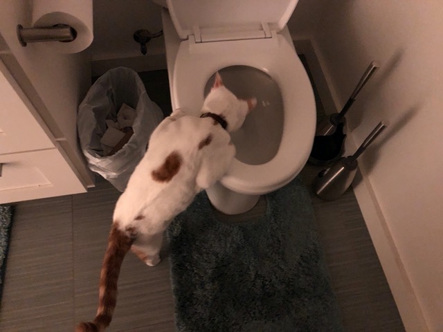 It's just so full of interesting smells