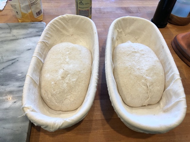 Sourdough rising in bannetons