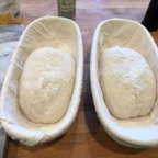 IMG_0107.jpeg