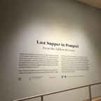 IMG_9998.jpeg