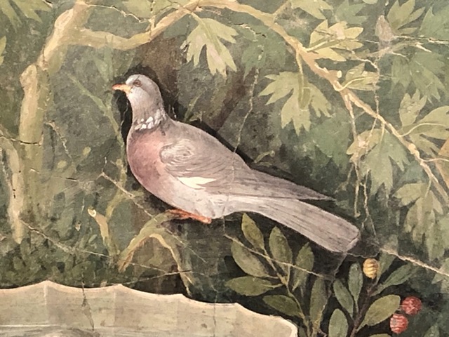 Beautiful, realistic painting of a pigeon.  They looked the same back then