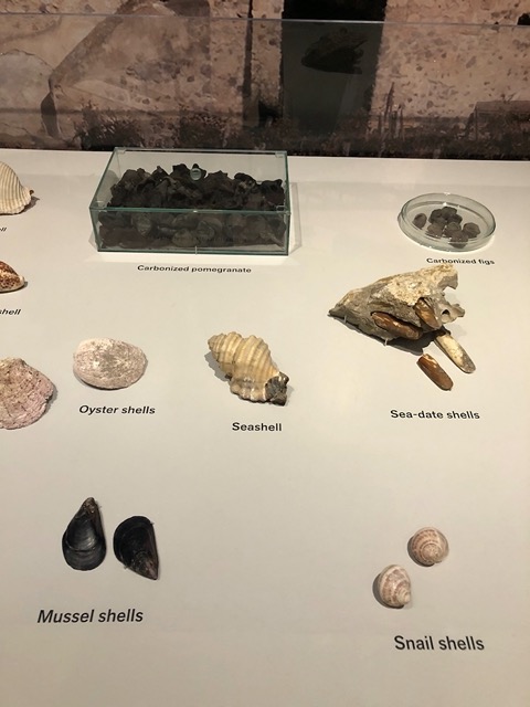 Carbonized shellfish