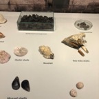 IMG_0009.jpeg