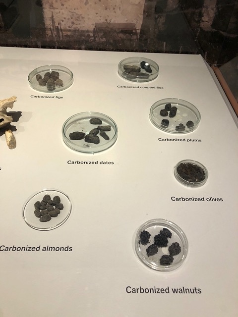 Carbonized nuts and fruits