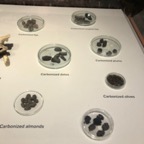 IMG_0008.jpeg