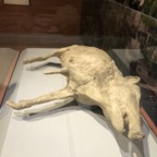 IMG_0012.jpeg