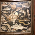 IMG_0015.jpeg