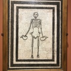 IMG_0029.jpeg