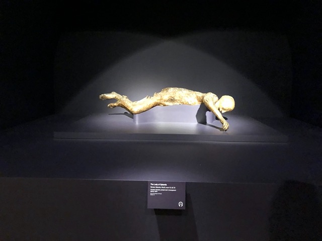 The resin cast of a woman from Oplontis