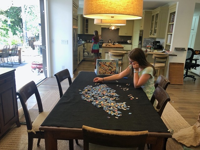 Starting a new puzzle.  The cats are well-trained enough to stay off