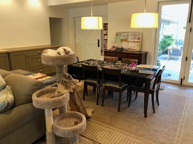 View of dining room, with cats and puzzle. As we eat outside...