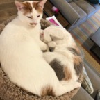 IMG_0143.jpeg