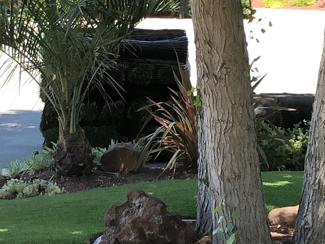 The sod has arrived!