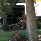 IMG_0147.jpeg