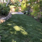 IMG_0153.jpeg