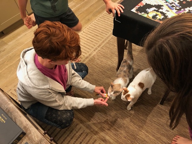 She was visiting from Oregon.  Great to get caught up!  Here she's meeting the cats
