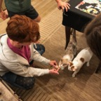 IMG_0158.jpeg