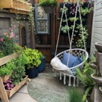 IMG_0175.jpeg