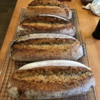 IMG_0185.jpeg
