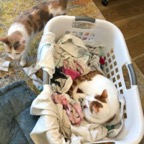 IMG_0202.jpeg