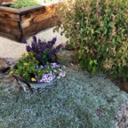 IMG_0215.jpeg