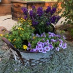 IMG_0216.jpeg