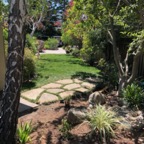 IMG_0225.jpeg