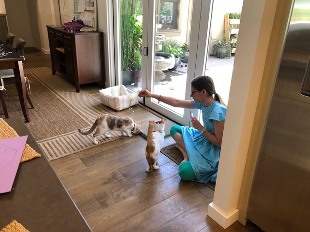 Lela blowing bubbles for the cats